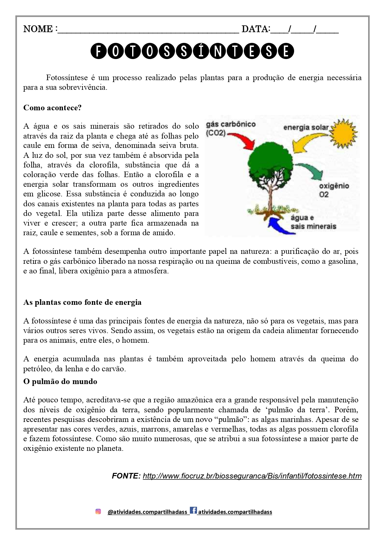 Atividade - As Plantas e A Fotossíntese - Tudo Sala de Aula