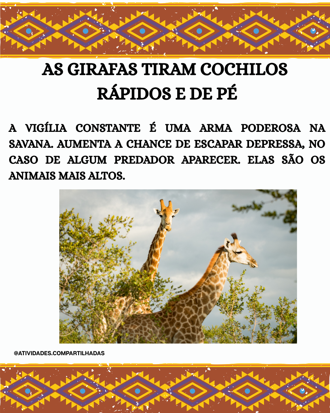 CARTAZ-FAUNA AFRICANA - Imagem 2