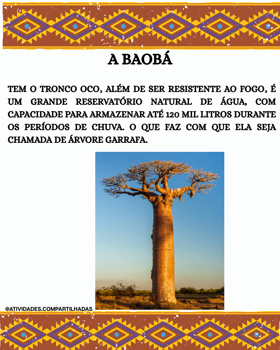 CARTAZ-FAUNA AFRICANA - Imagem 3
