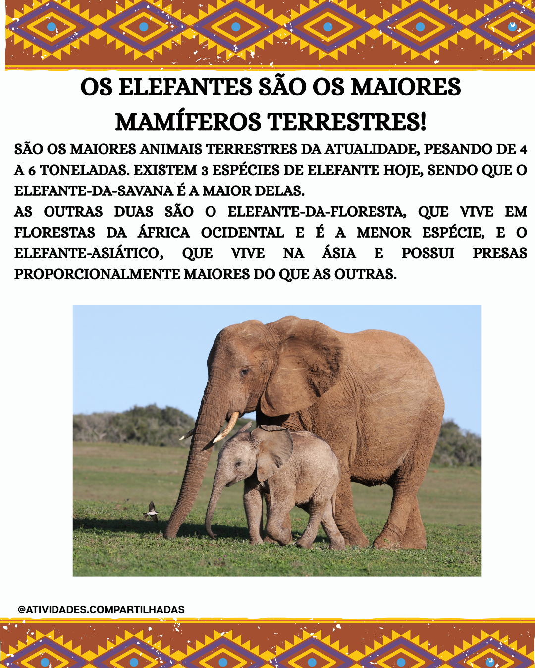 CARTAZ-FAUNA AFRICANA - Imagem 4