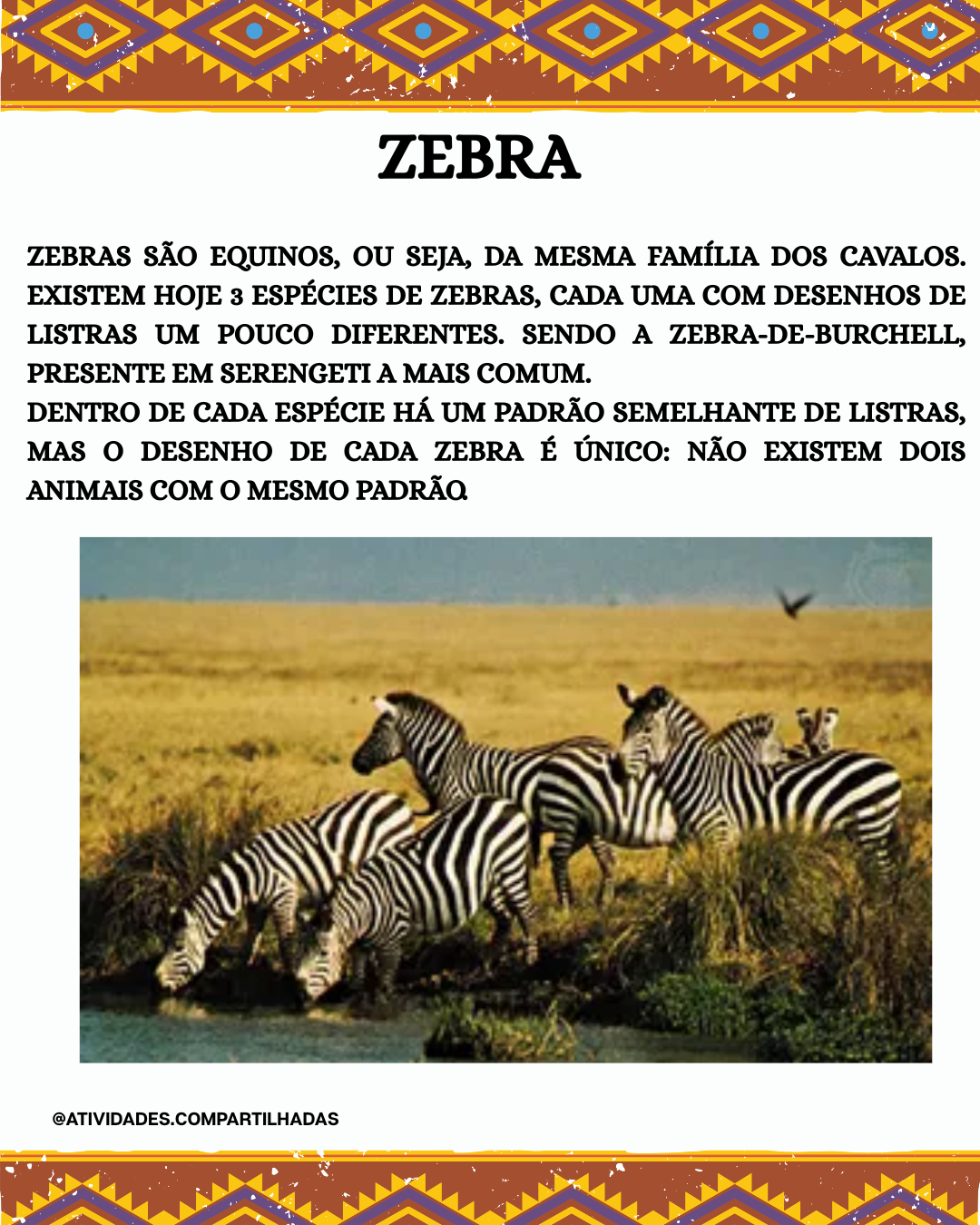 CARTAZ-FAUNA AFRICANA - Imagem 5